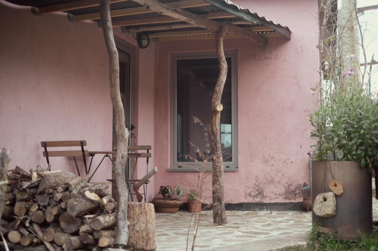 Cabana Do Dinamarques Em Arga De Baixo 外观 照片
